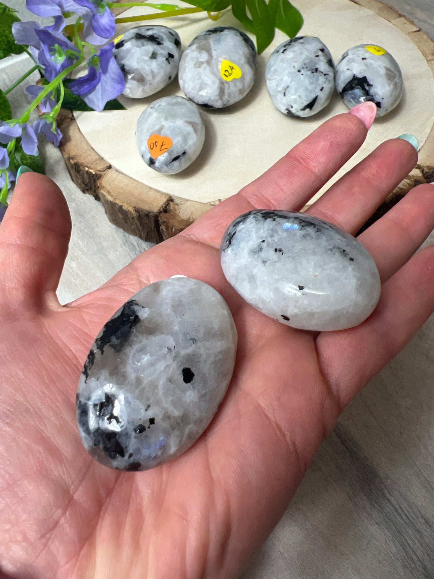 Rainbow Moonstone Palm