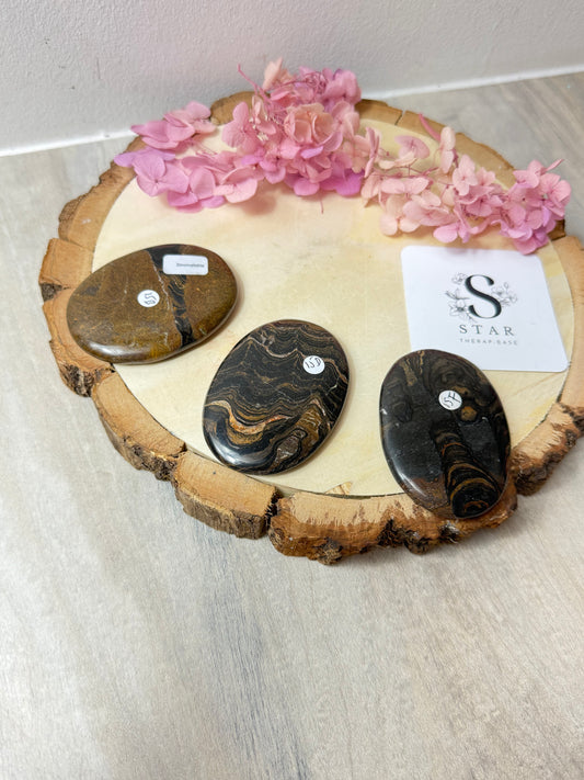 Stromtaolite Palm Stone - Rare