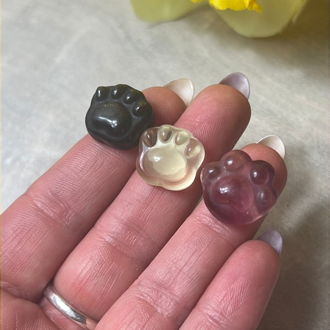 Mini Paw Print