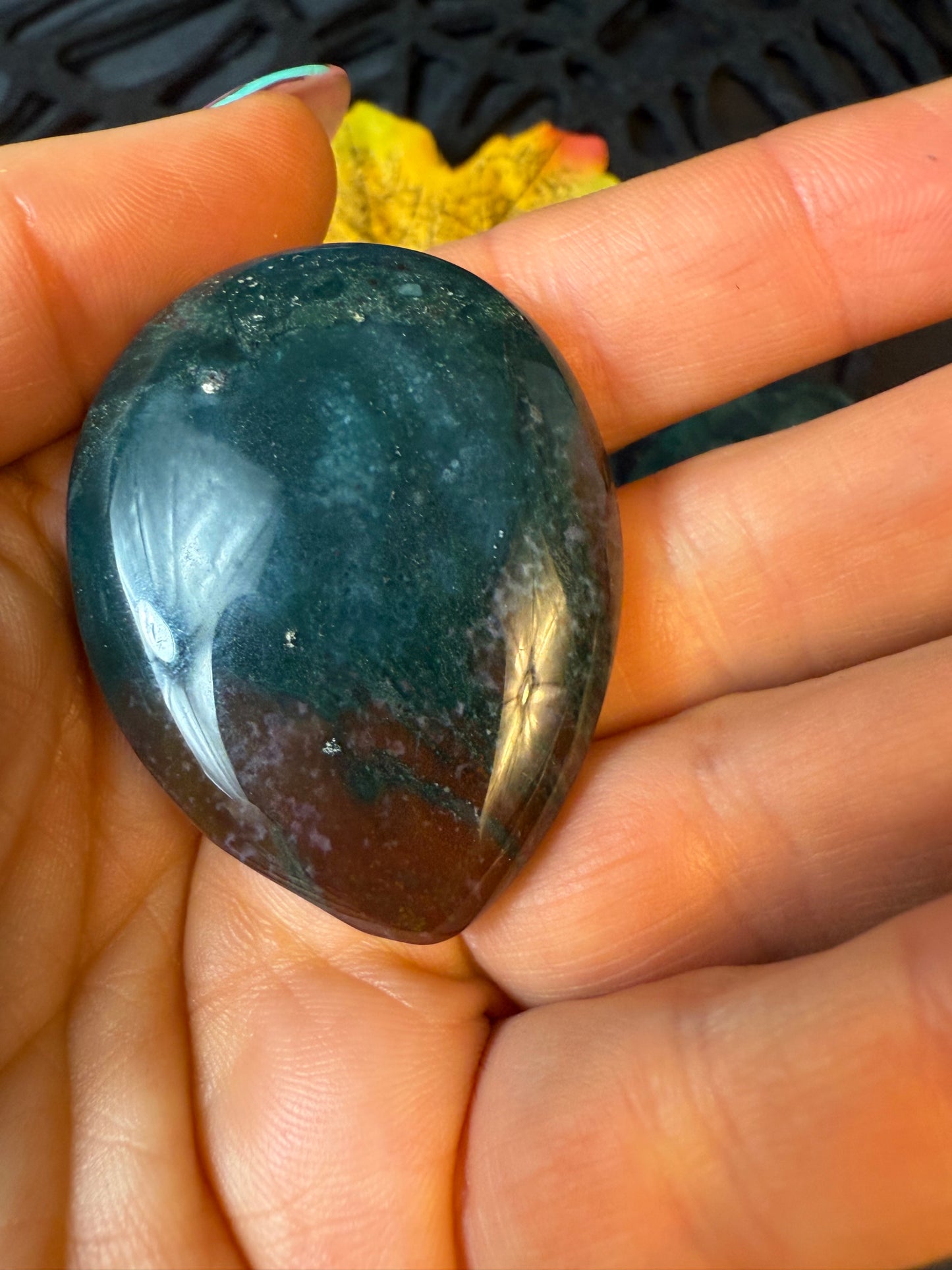 Teardrop Palm