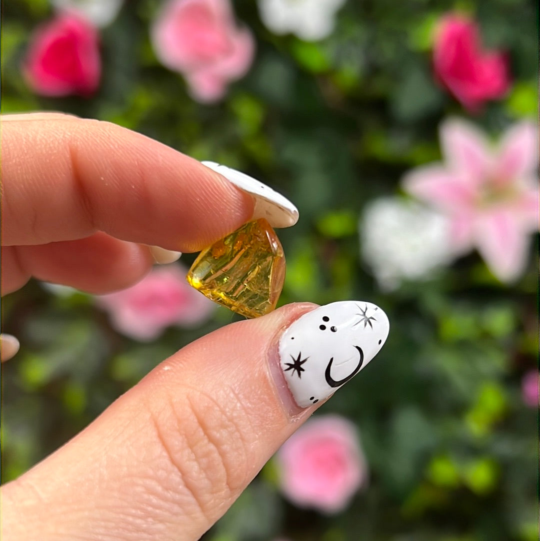 Amber Insect Specimen