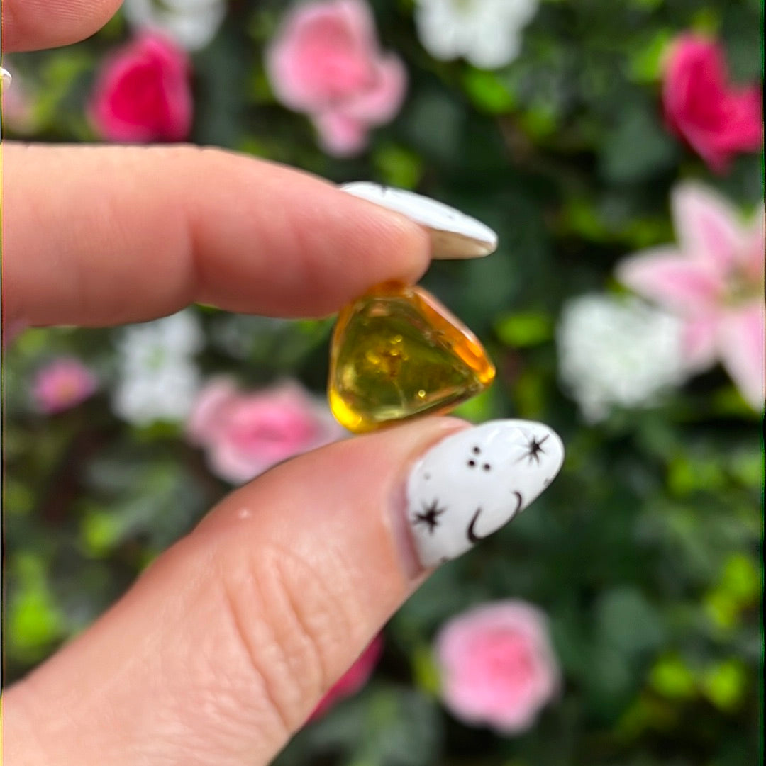 Amber Insect Specimen