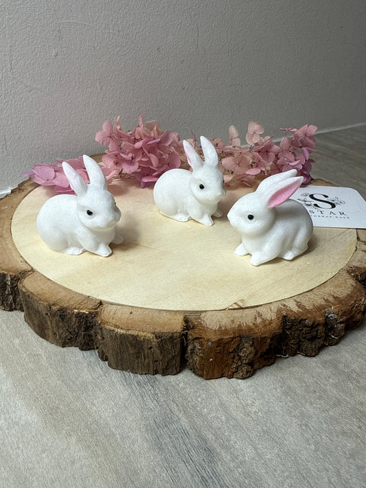 White Jade Rabbit Bunny