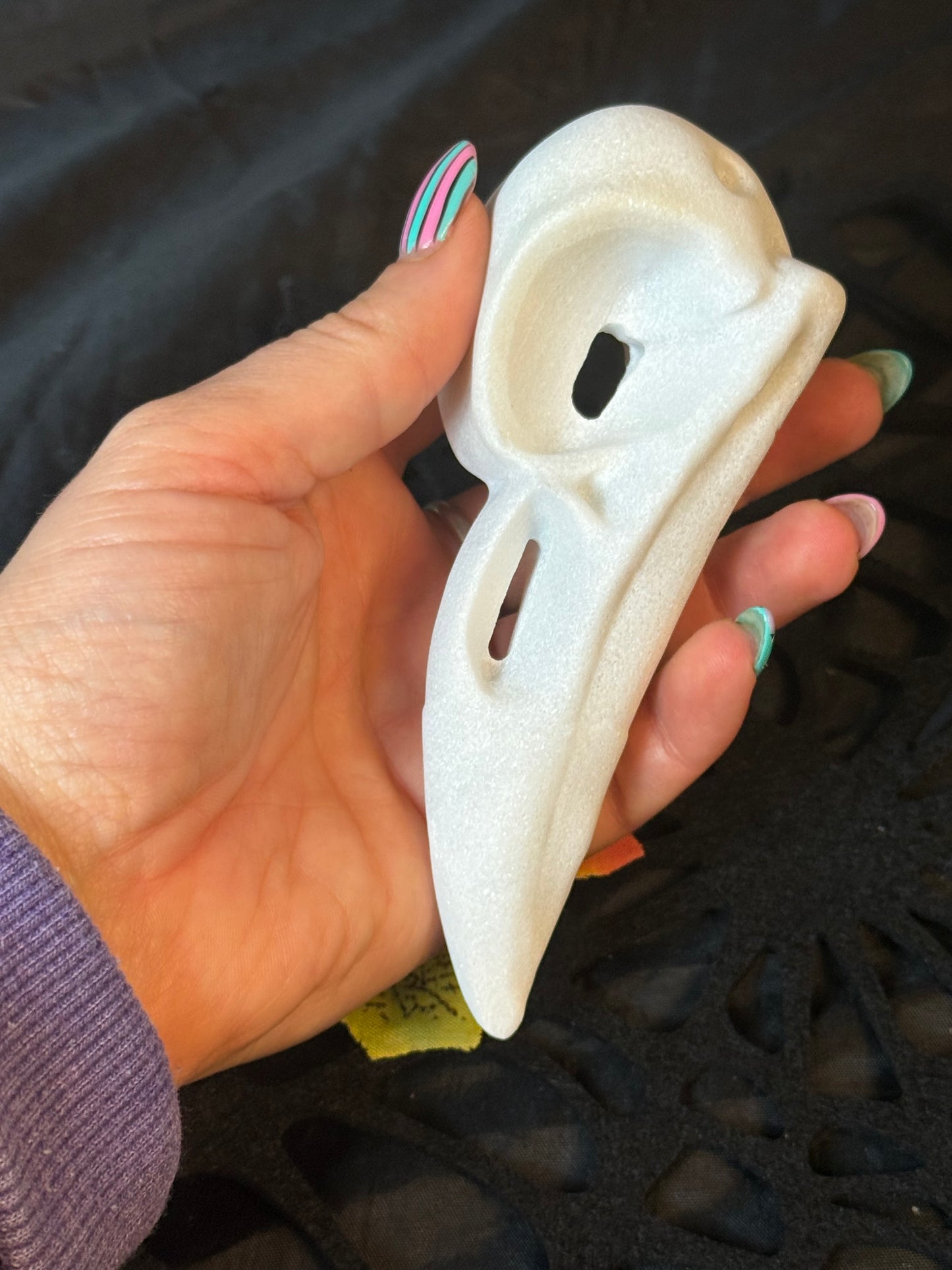 Large Raven Crow Skull