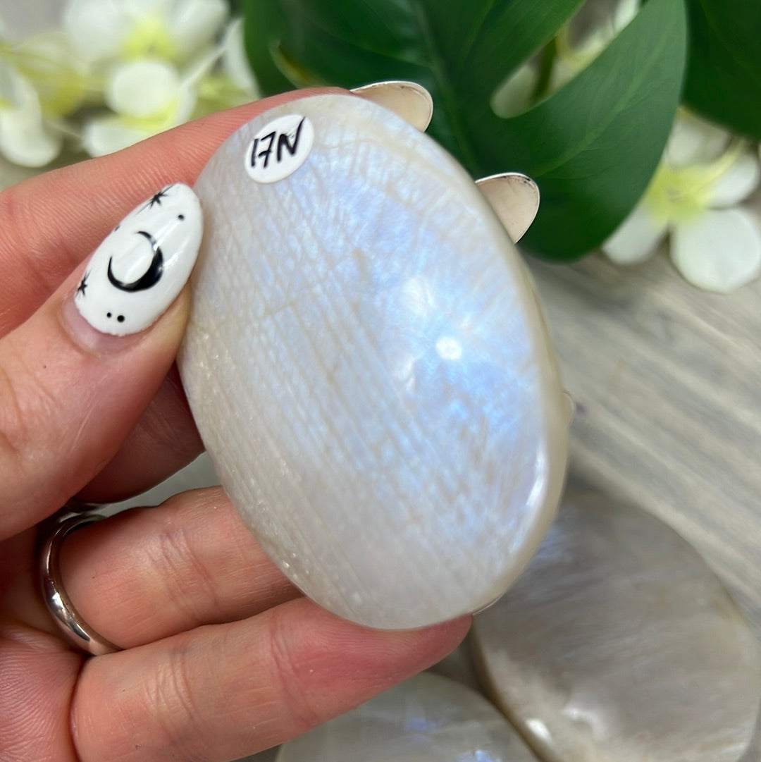 Moonstone Palm - AA Grade
