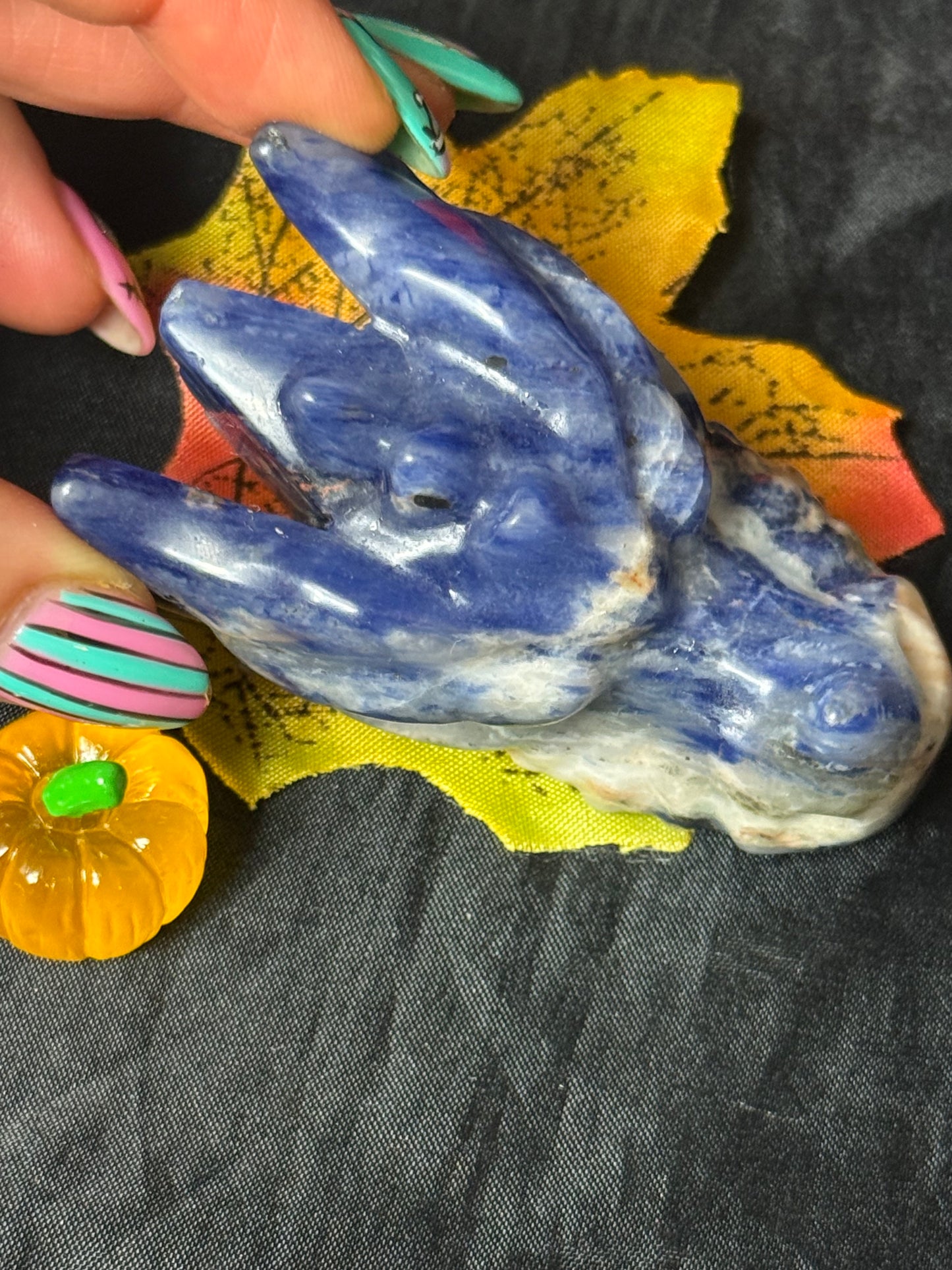 Sodalite Dragon