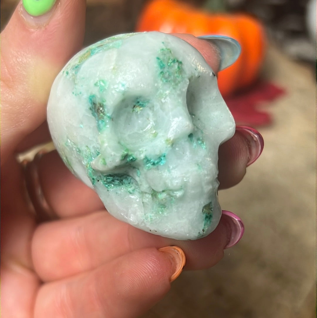 Fynchenite Small Skull