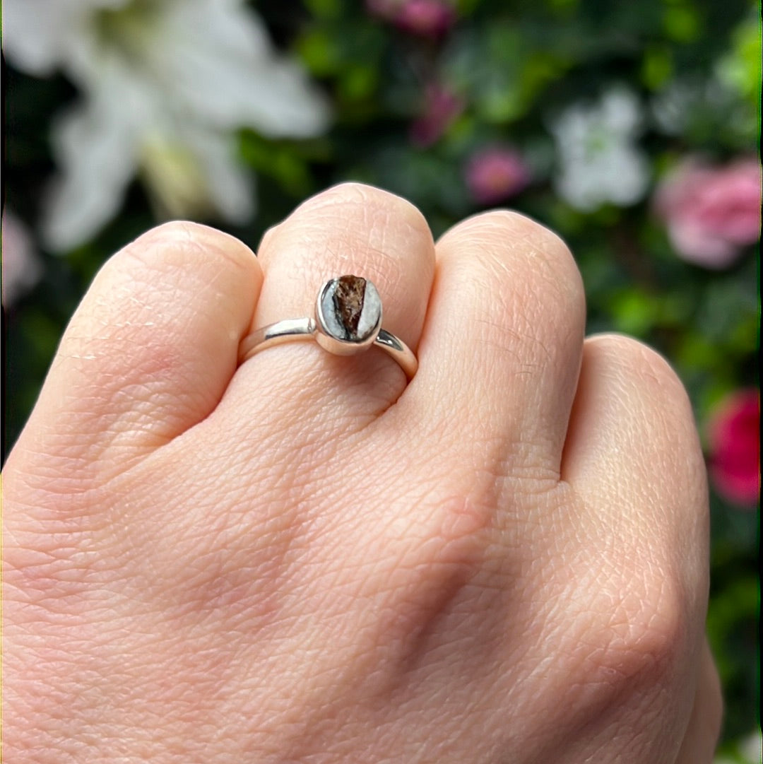 Astrophyllite 925 Sterling Silver Ring - Size M