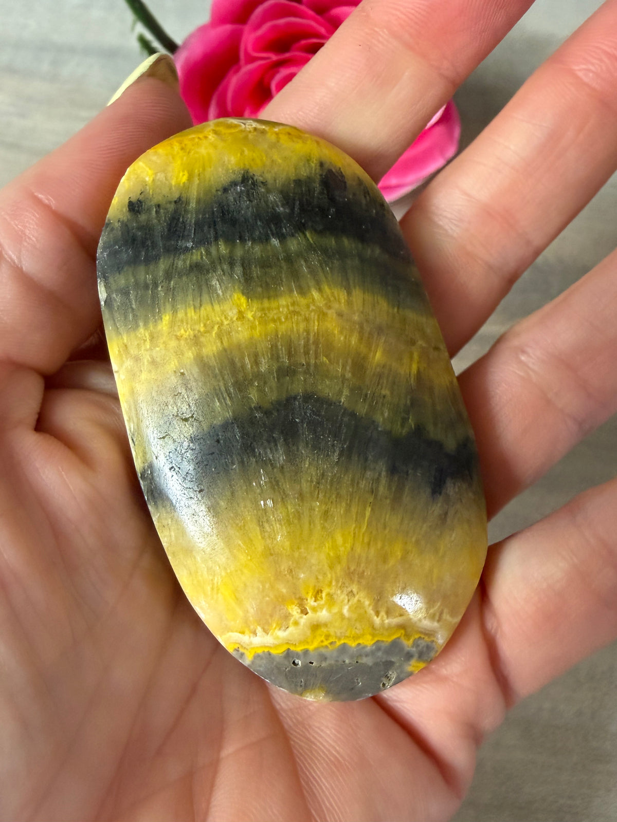 Bumblebee Large Palm