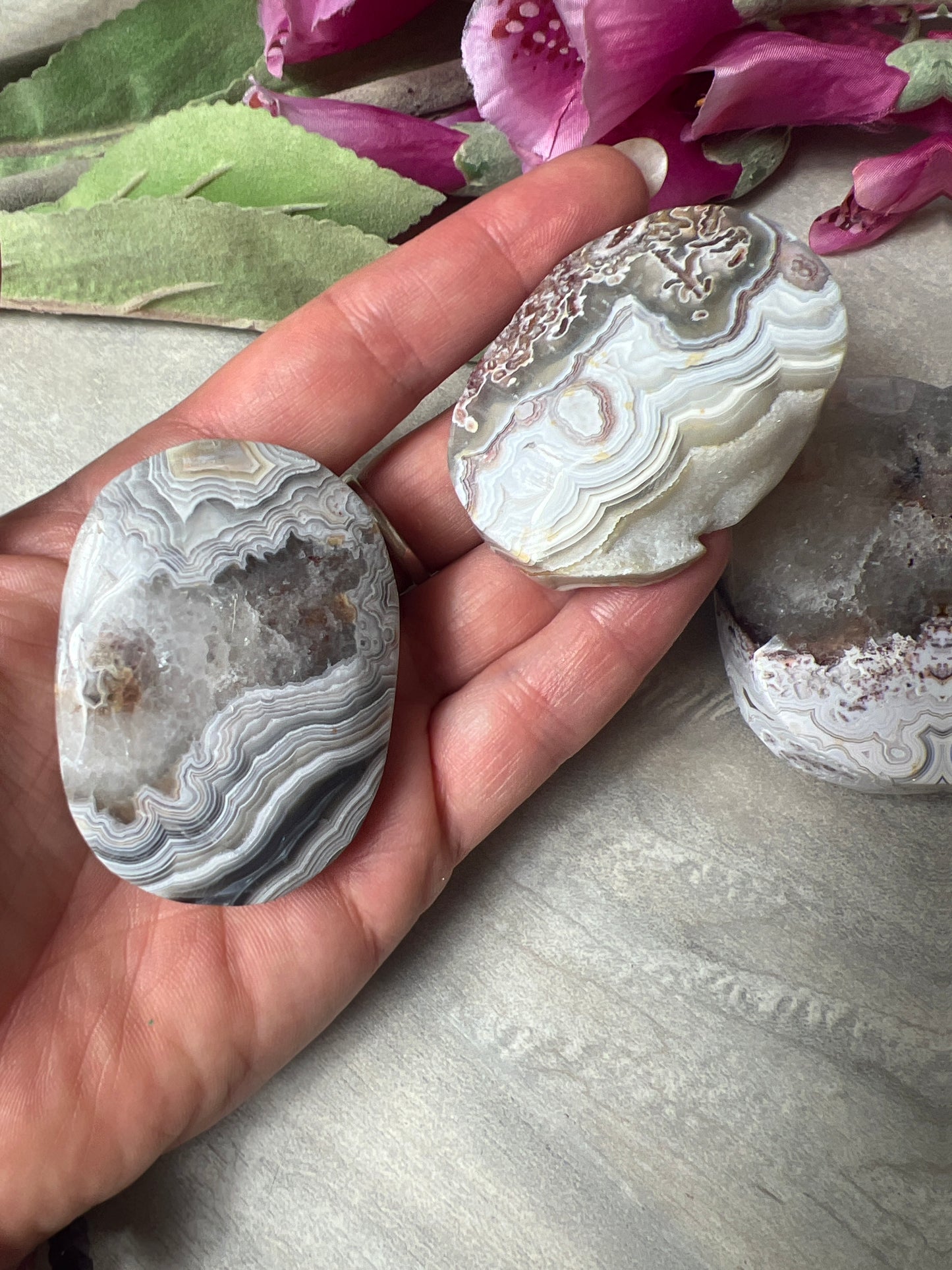 Mexican Crazy Agate Palm