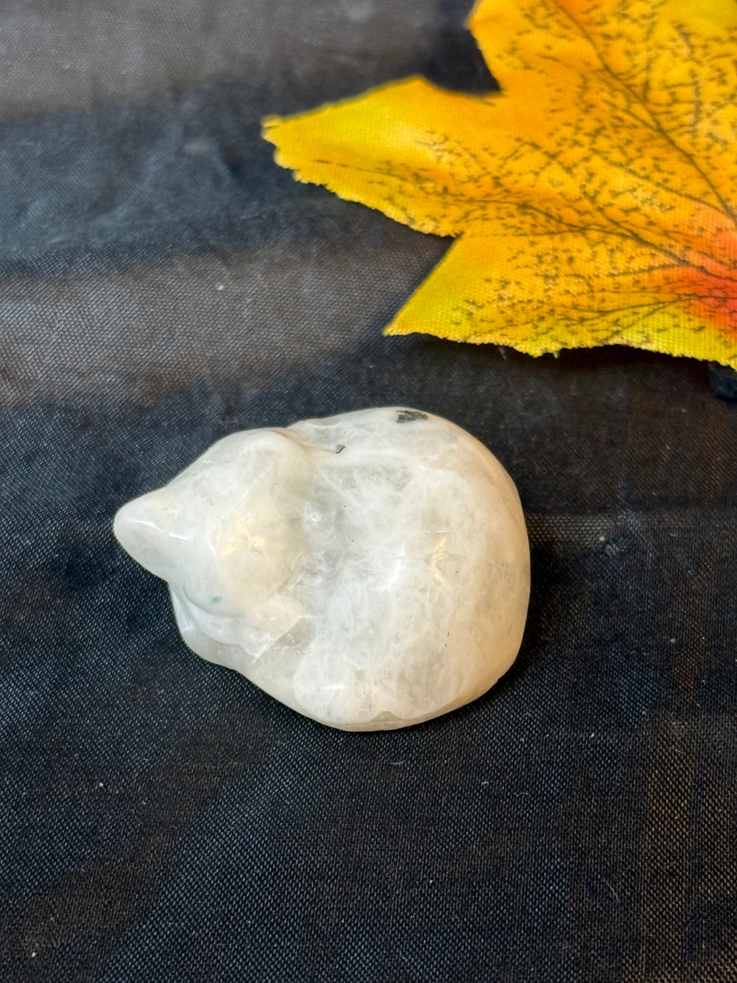 Sleeping Cat - Moonstone