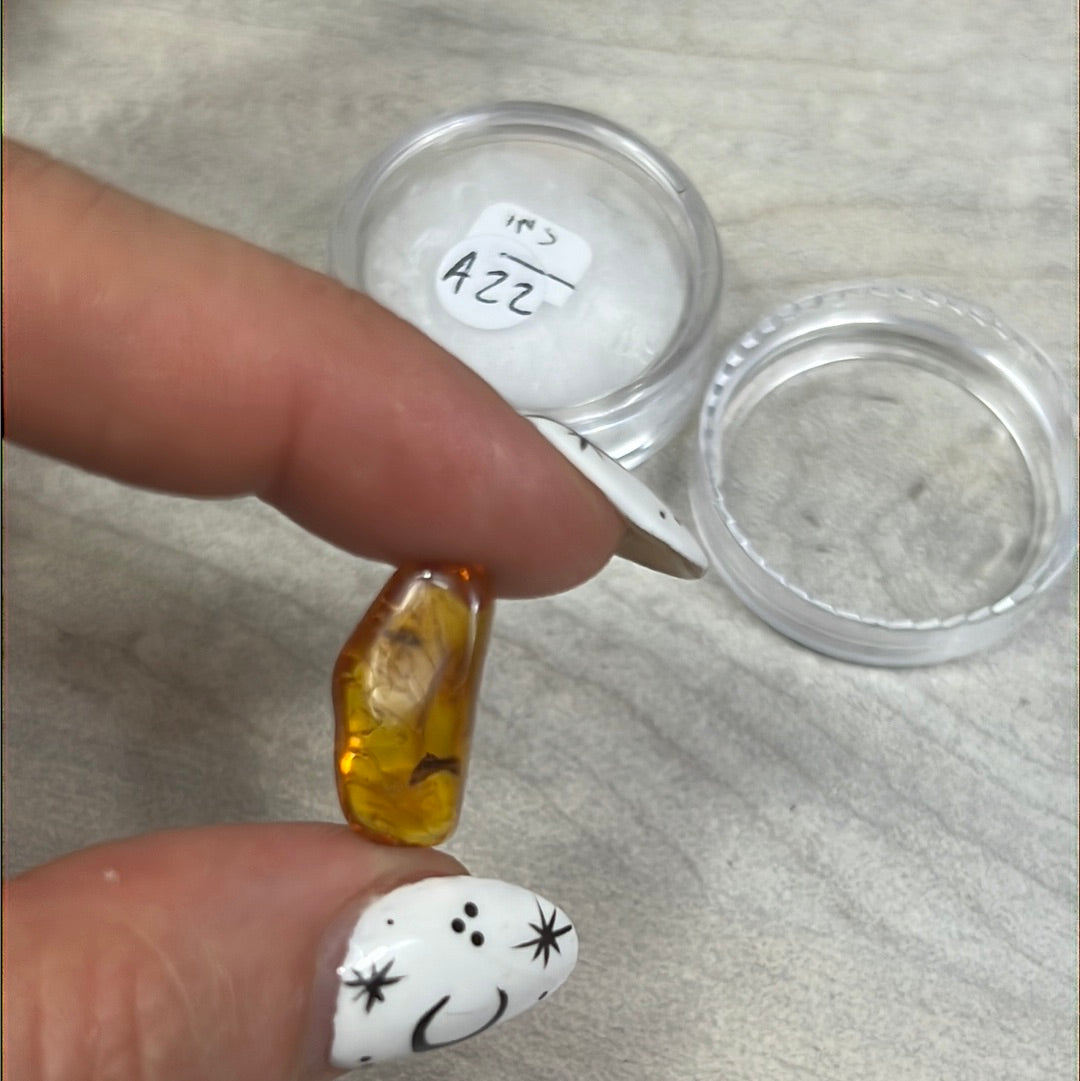 Amber Insect Specimen