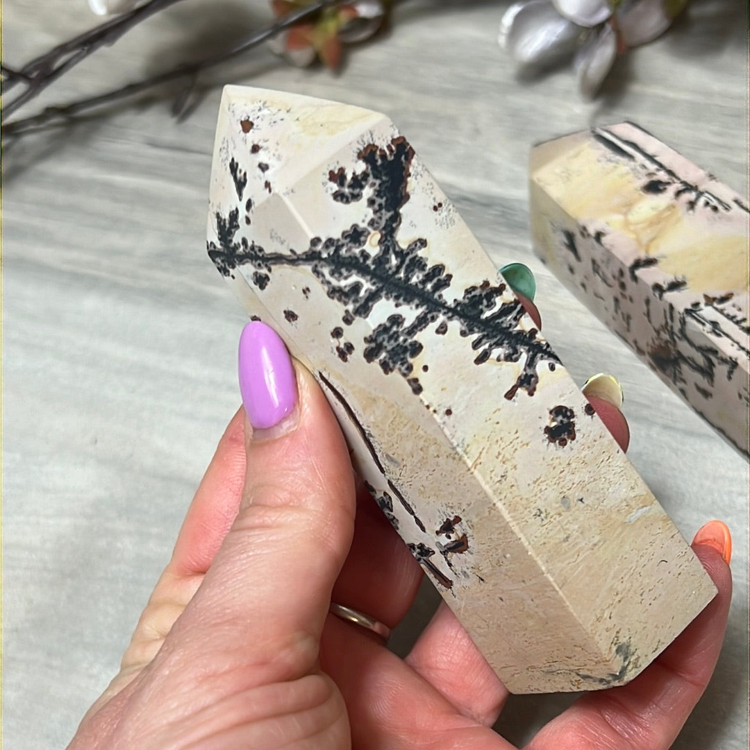 Picture Jasper Obelisk Tower Point