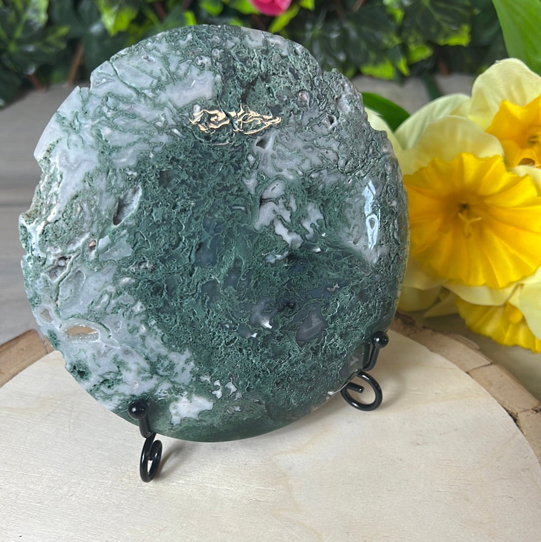 Moss Agate Druzy Disc Cookie