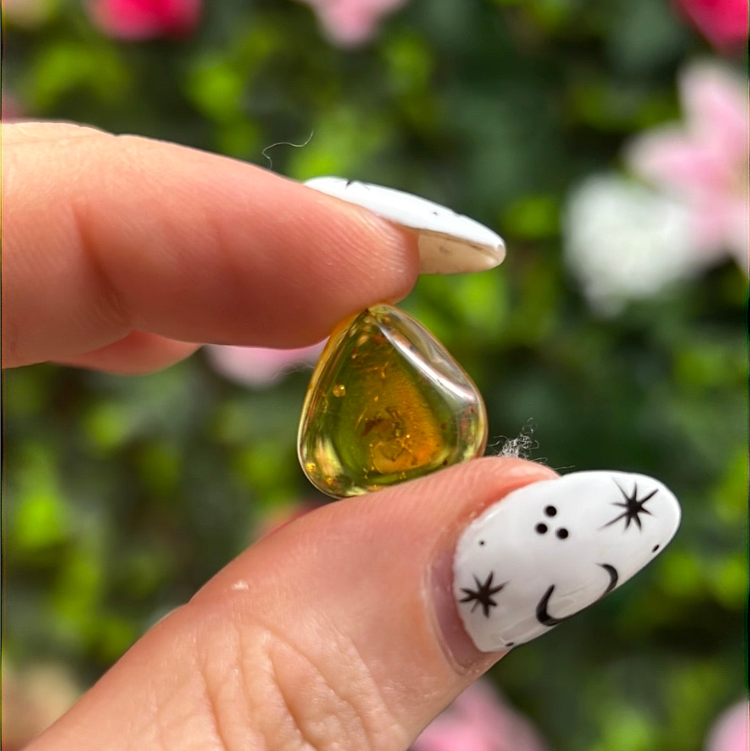 Amber Insect Specimen