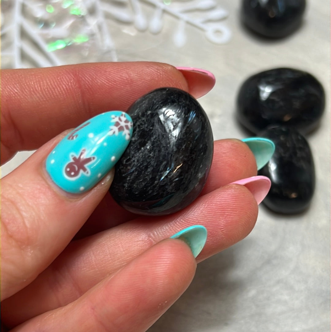 Arfvedsonite with Garnet Polished tumble tumblestone