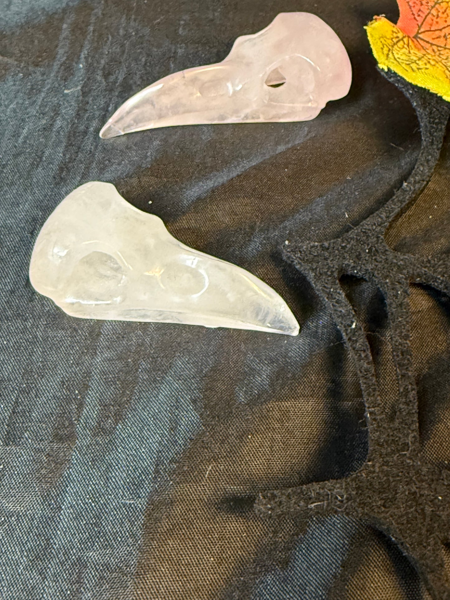Raven Crow Skulls