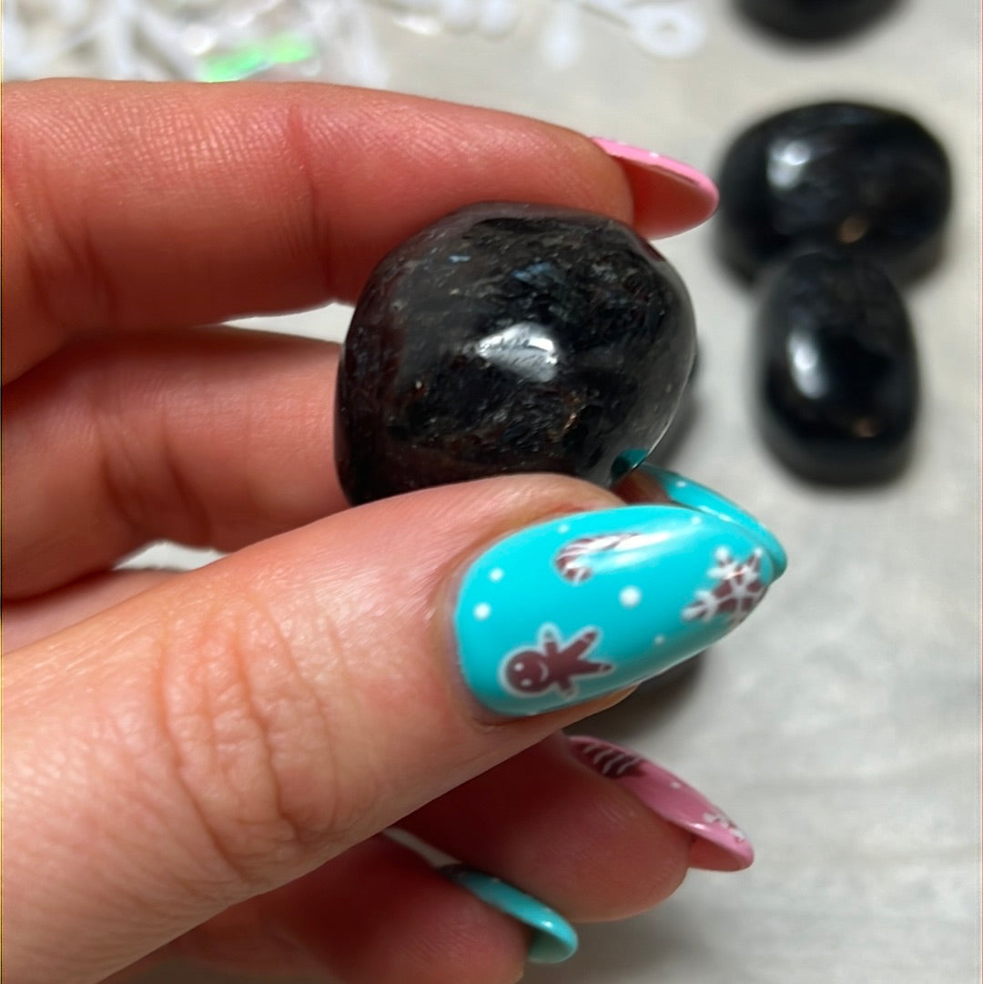 Arfvedsonite with Garnet Polished tumble tumblestone