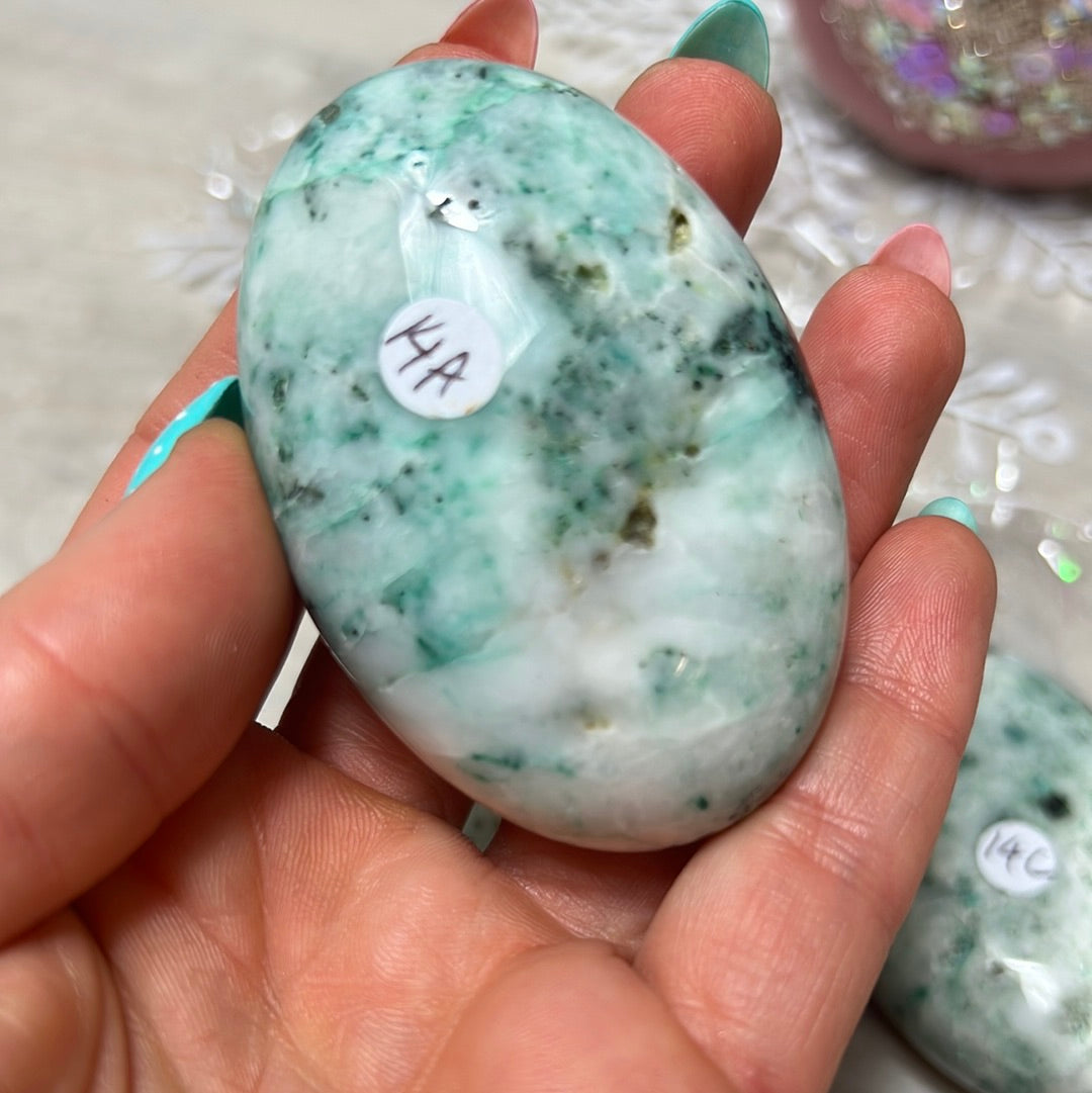 Phoenix Pine Fynechenite Palm