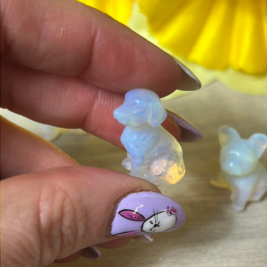 Mini Opalite dog / pug