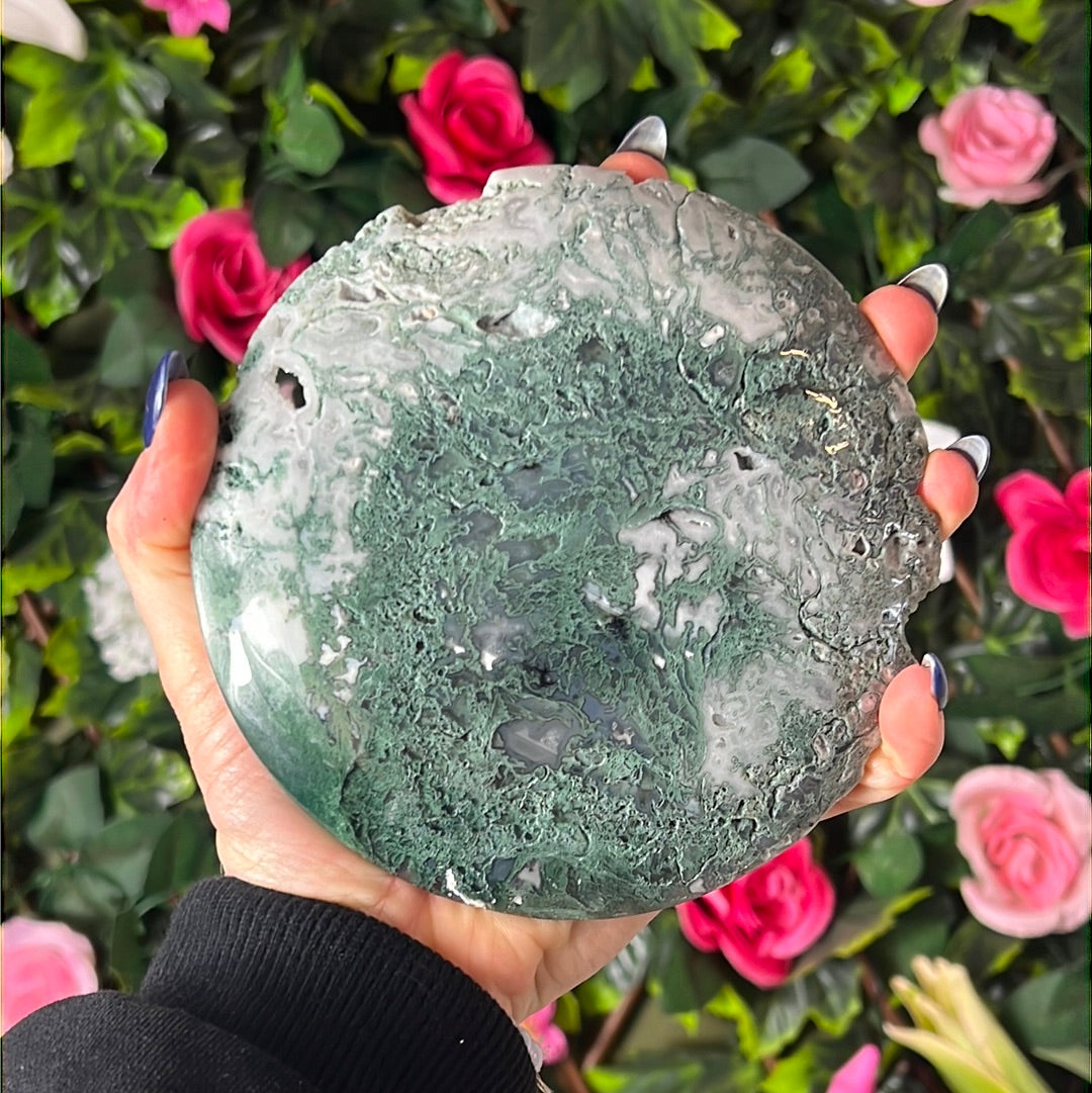 Moss Agate Druzy Disc Cookie