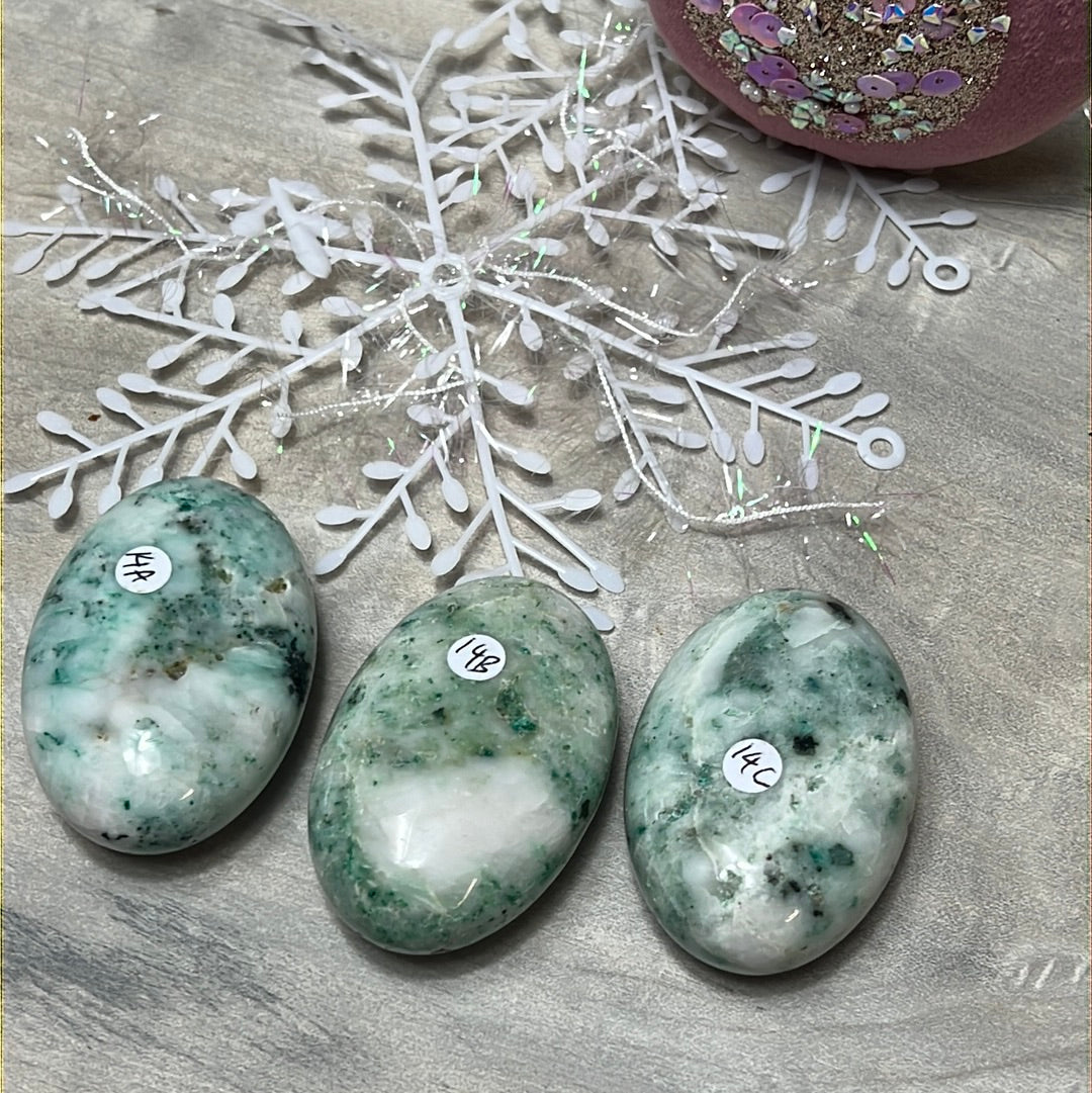 Phoenix Pine Fynechenite Palm