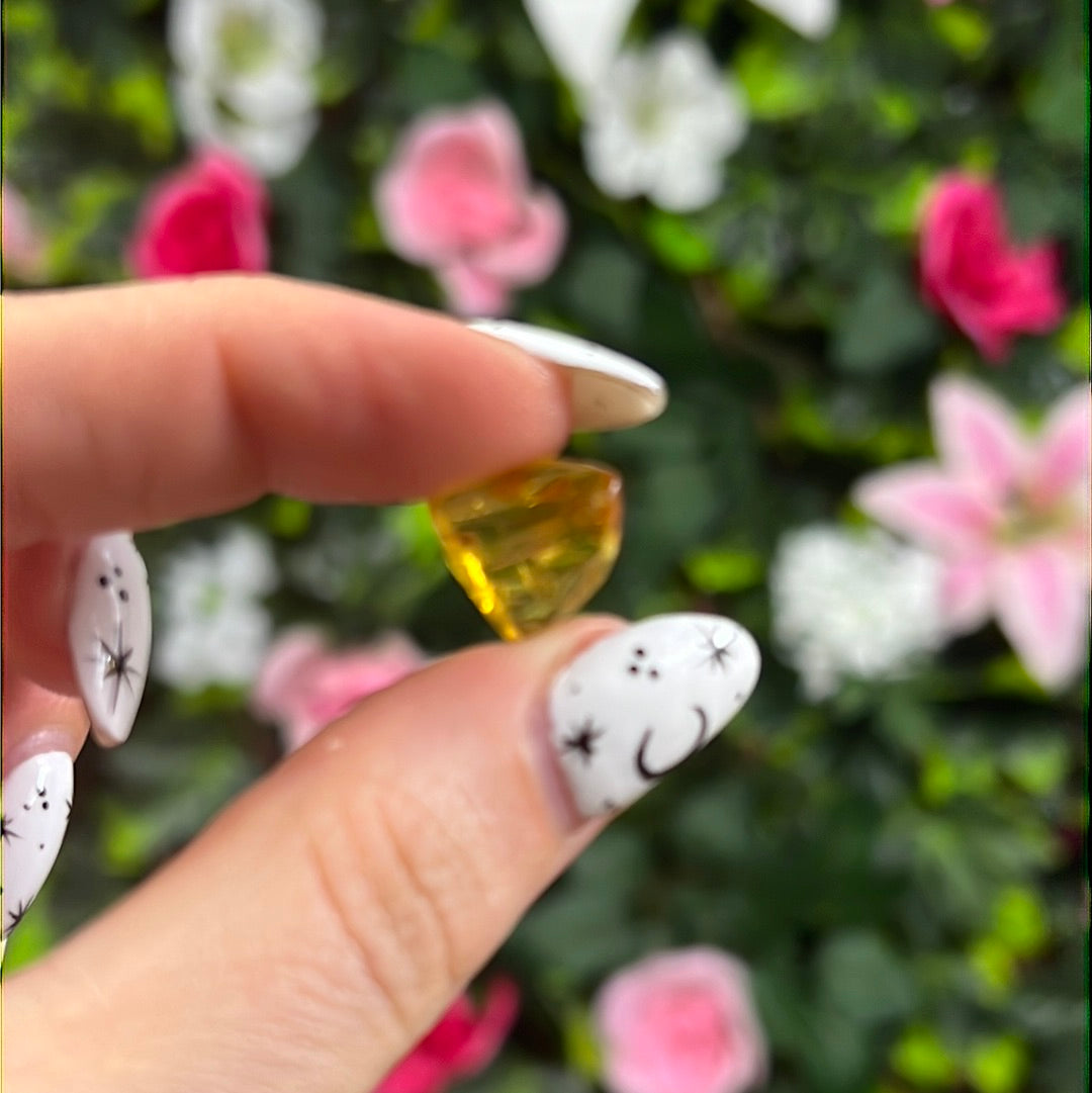 Amber Insect Specimen