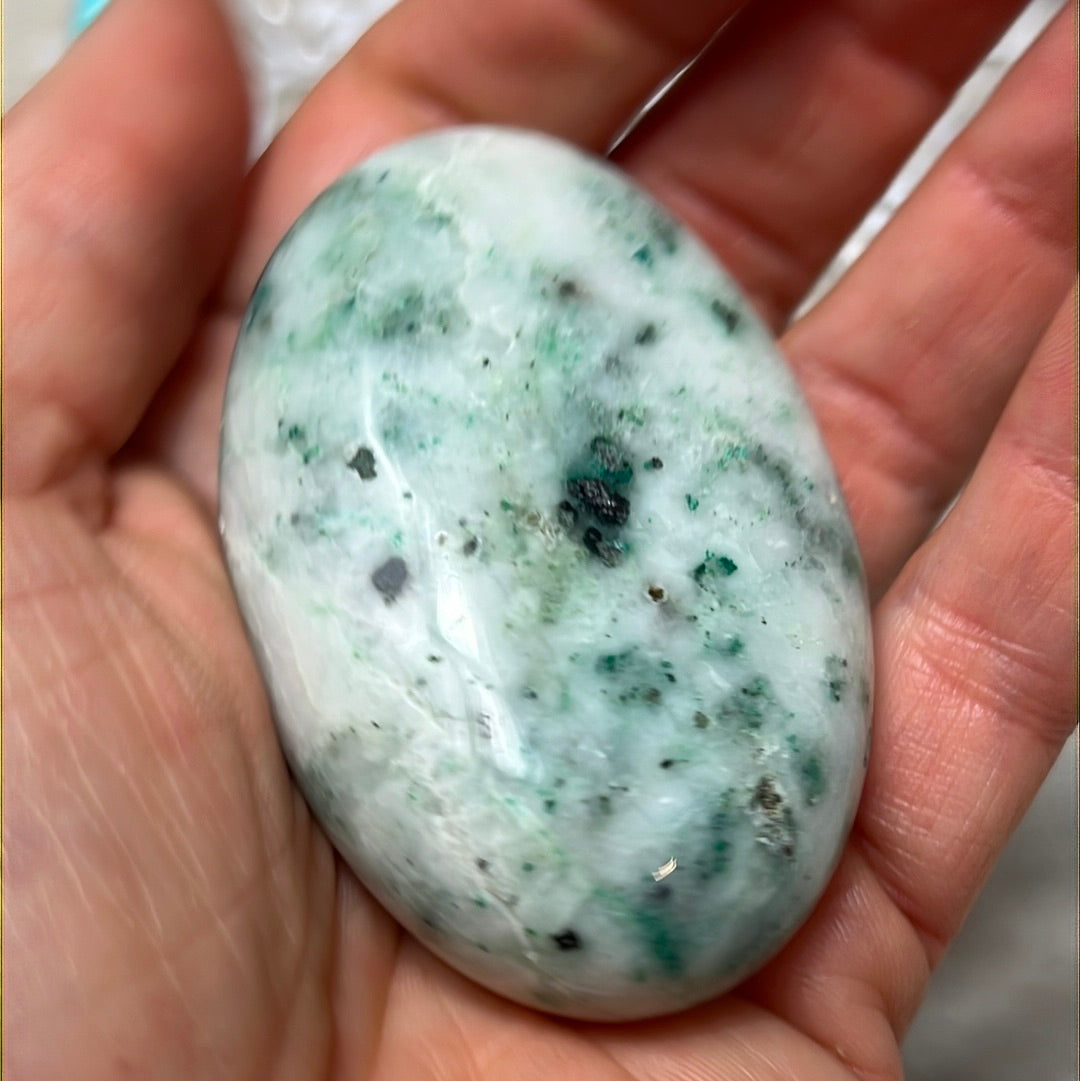 Phoenix Pine Fynechenite Palm