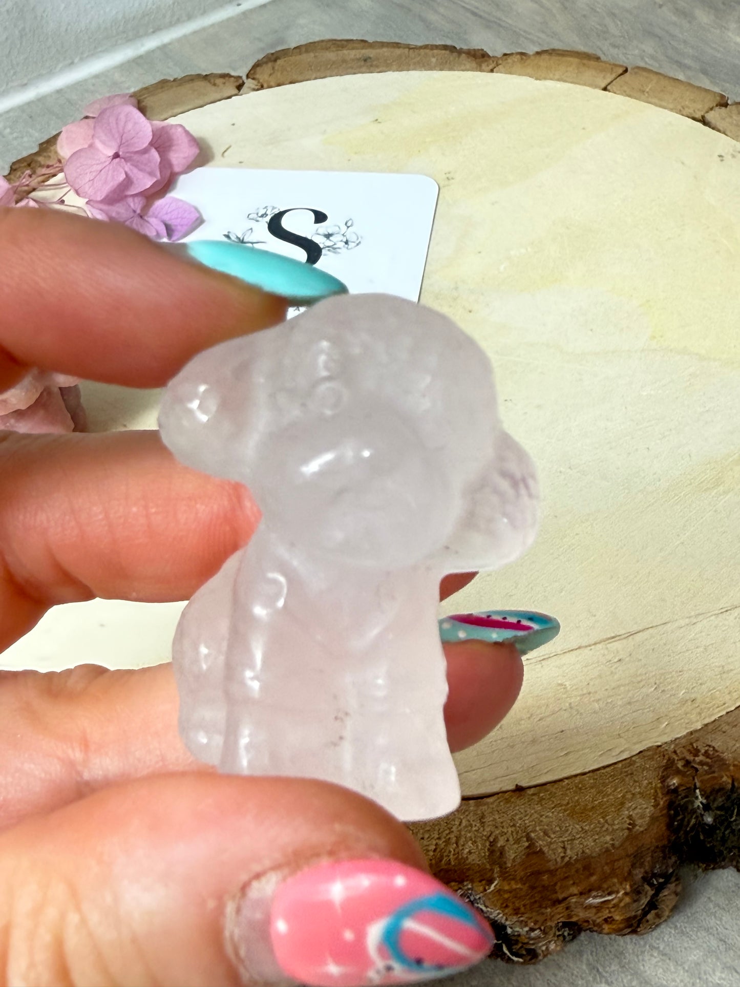 Teddy Dog Carving