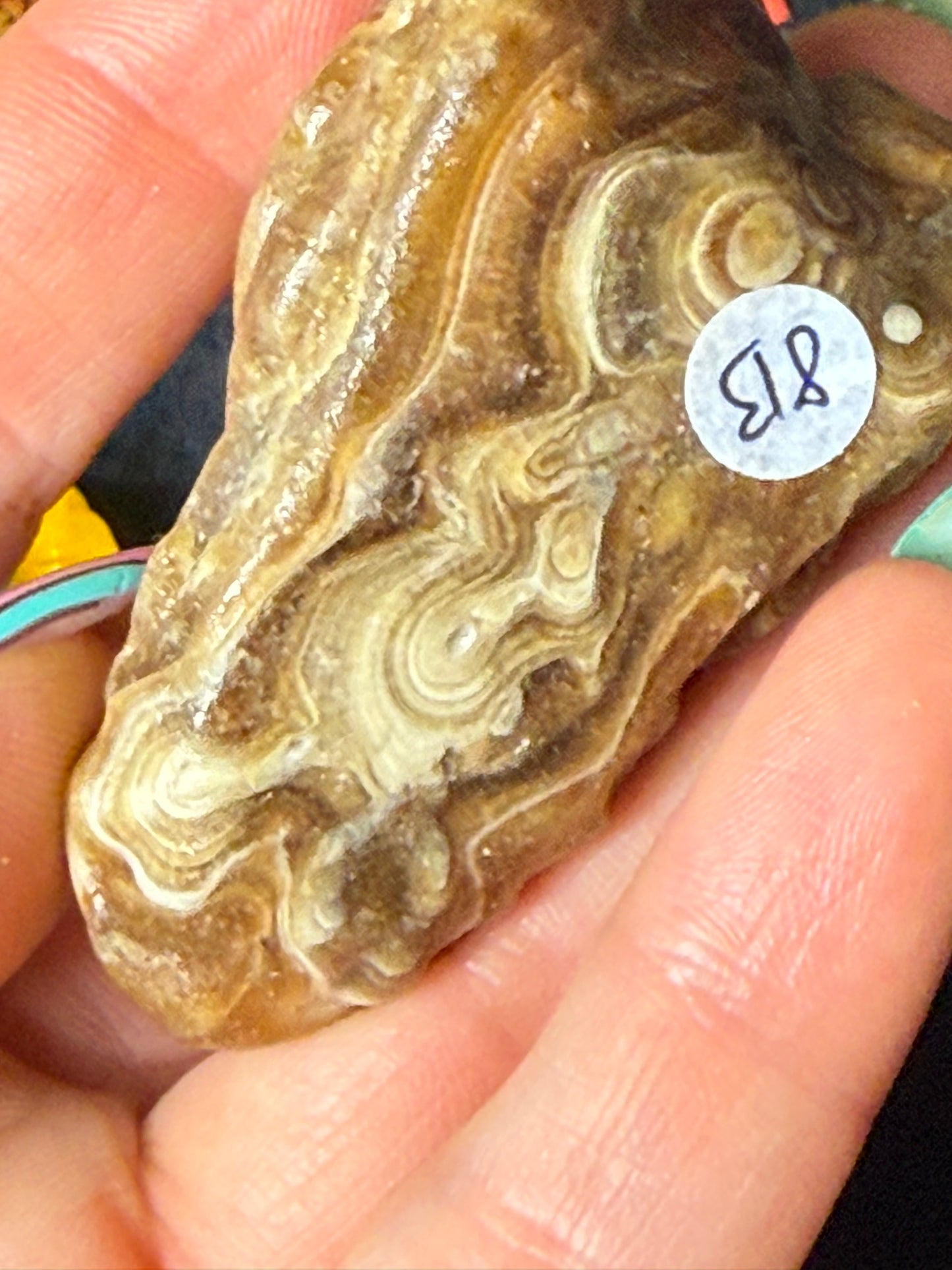 Honey Calcite Dragon