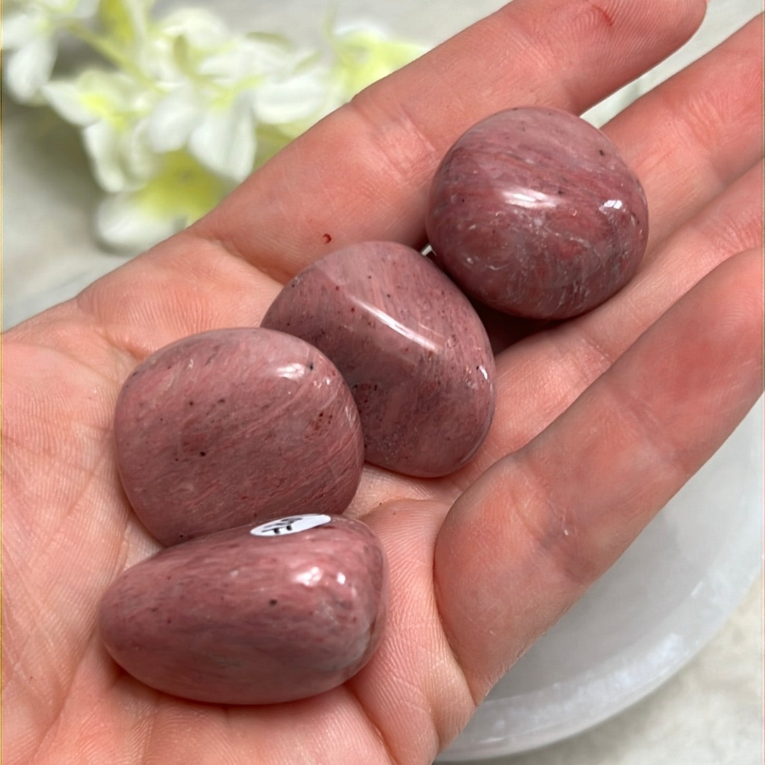 Pink Petrified Fossil Wood Tumble Tumblestone