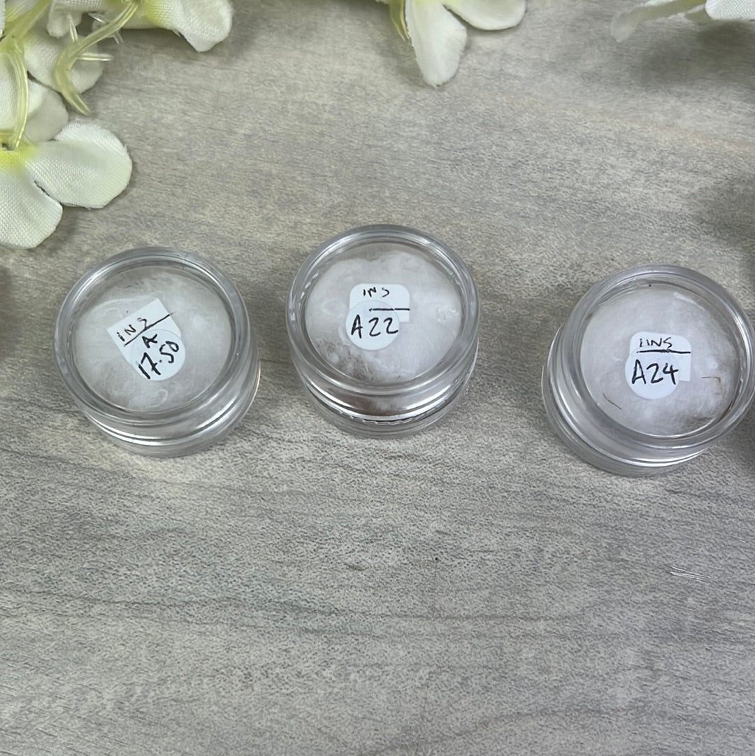 Amber Insect Specimen