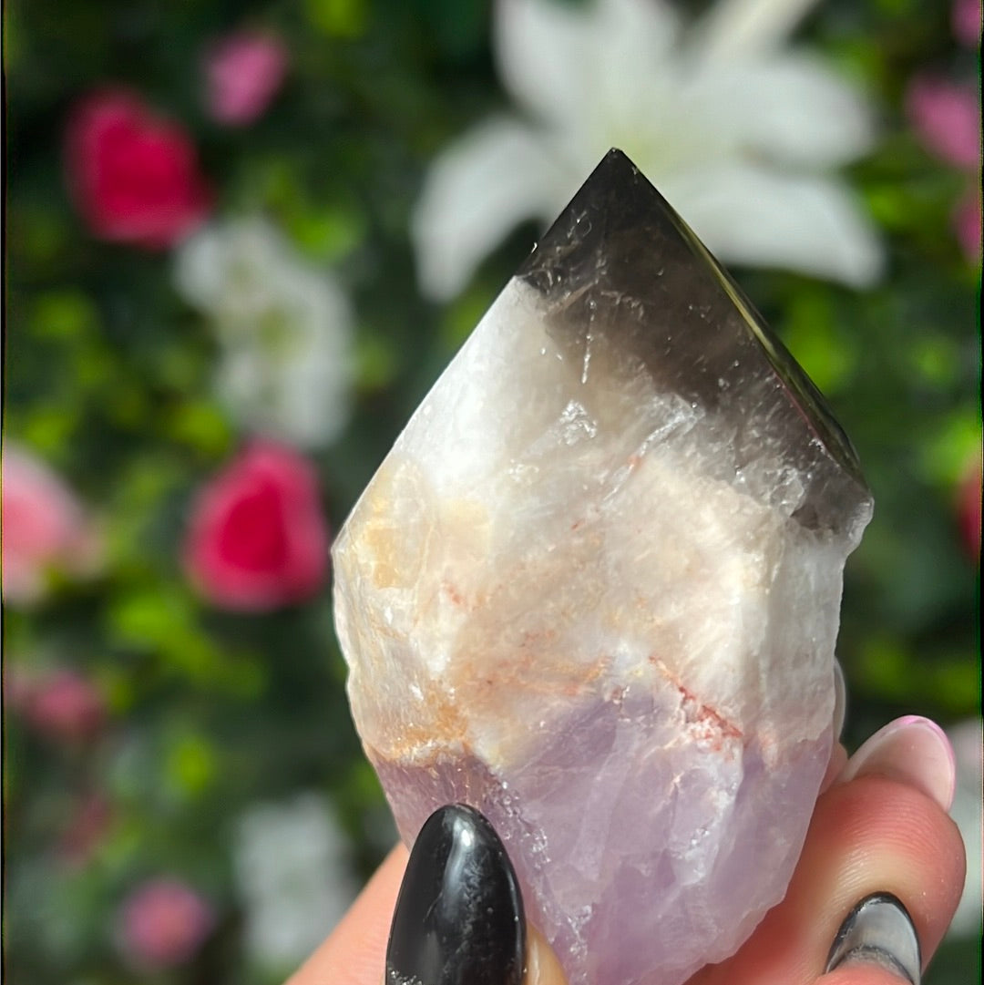 Root of Transformation