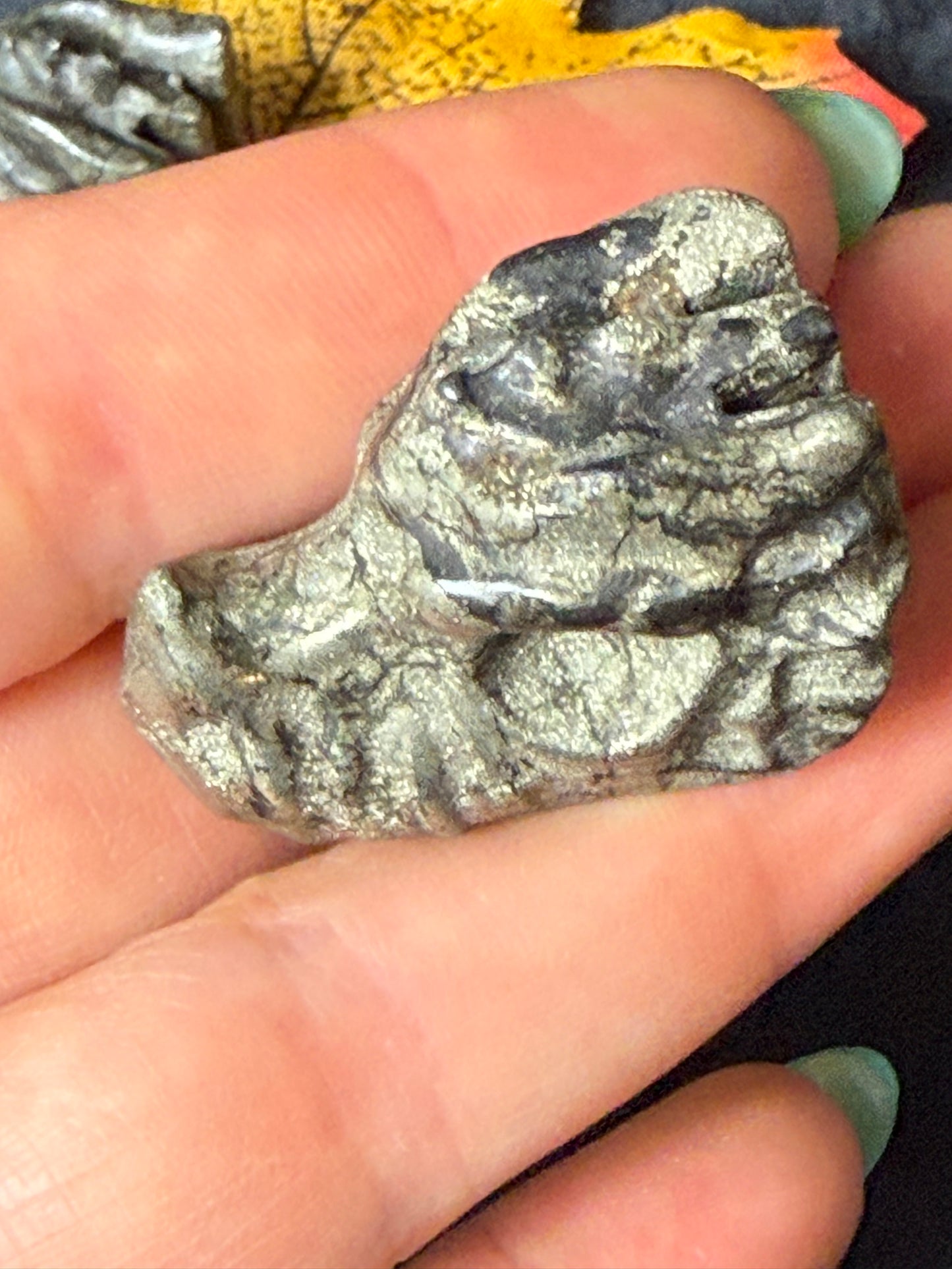 Pyrite Dragon