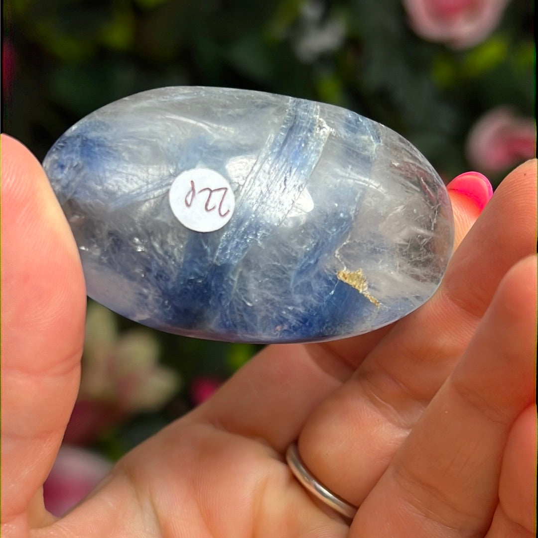 Kyanite in Clear Quartz Palm - rare find