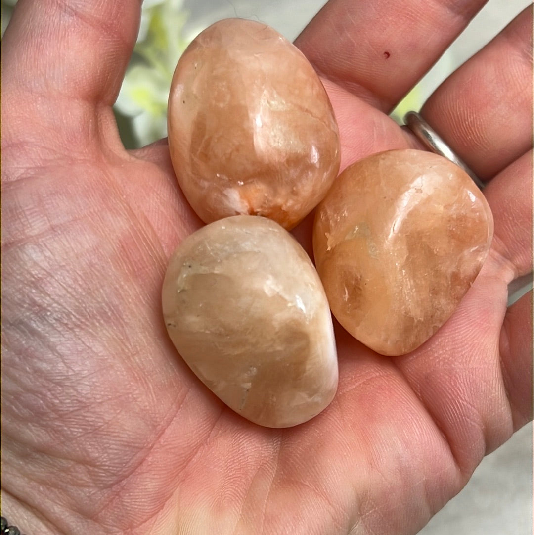 XL Stillbite Tumble Tumblestone