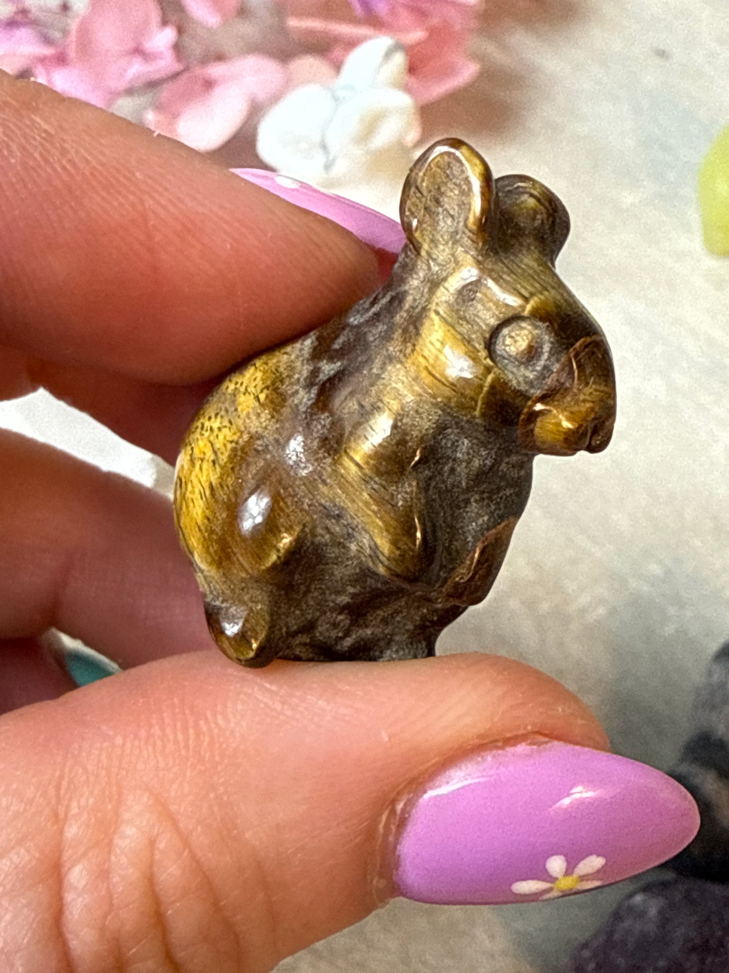 Sitting Rabbit Hare Bunny