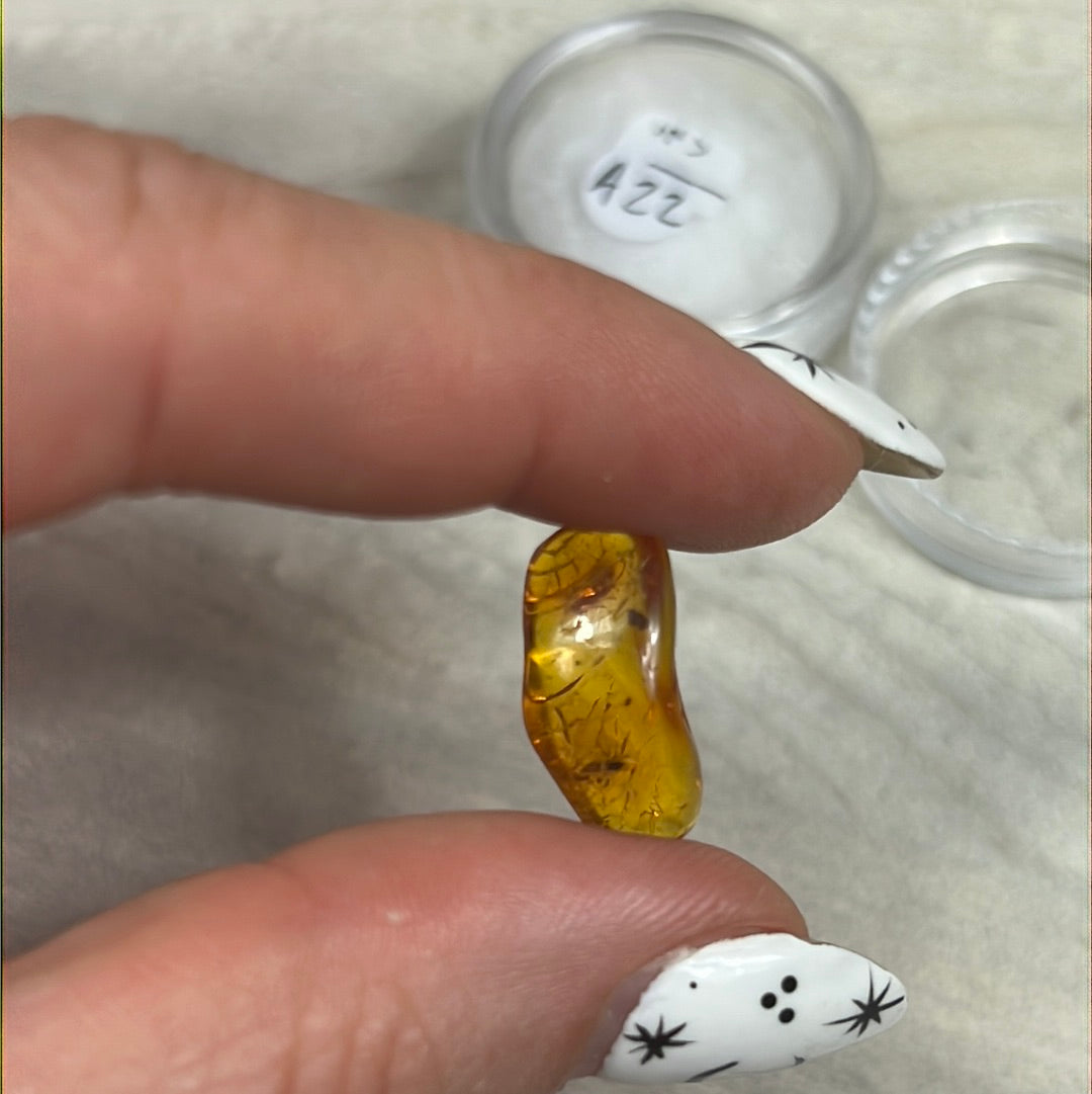 Amber Insect Specimen