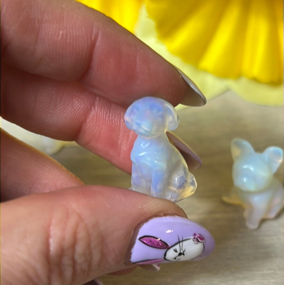Mini Opalite dog / pug