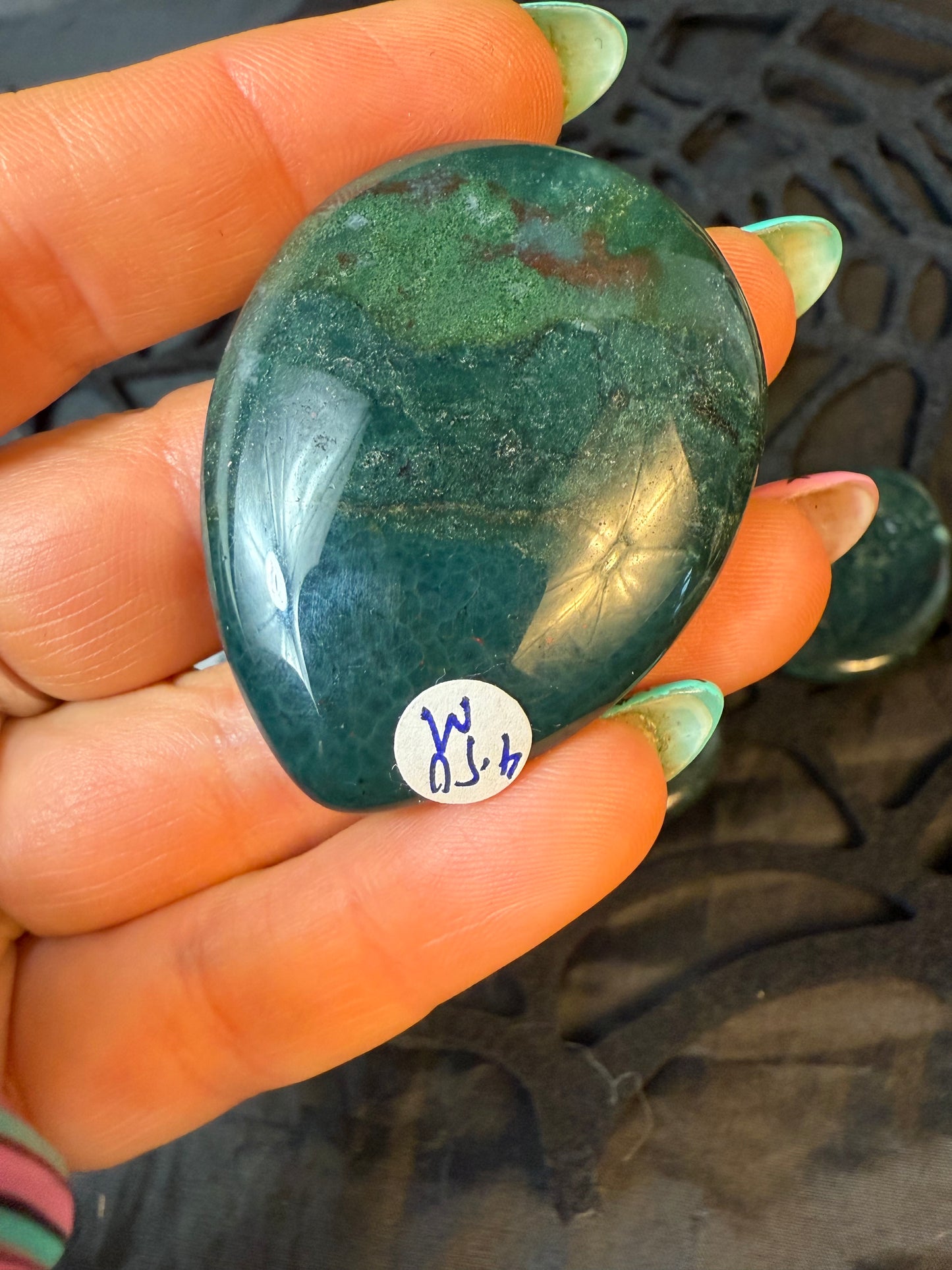 Teardrop Palm