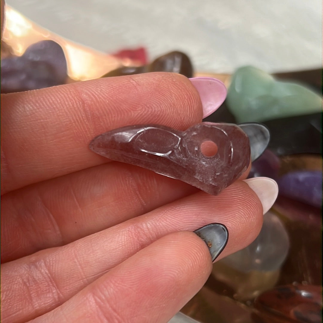 Mystery Baby Skull - Bird Crow Raven