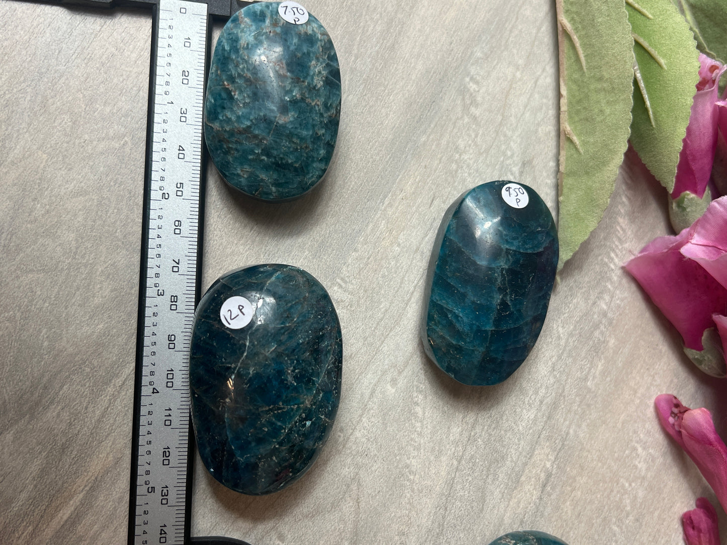 Apatite Palm