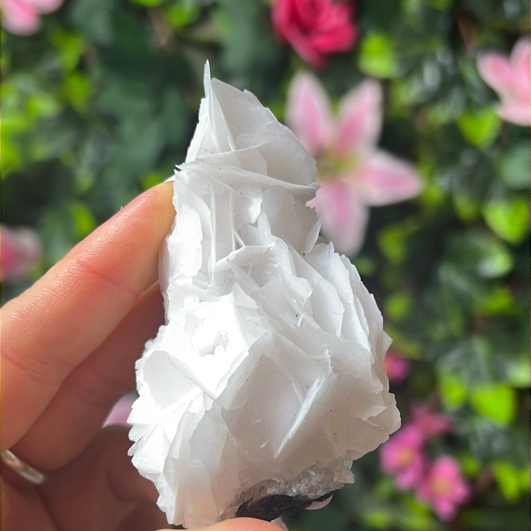Rose Petal Calcite Specimen