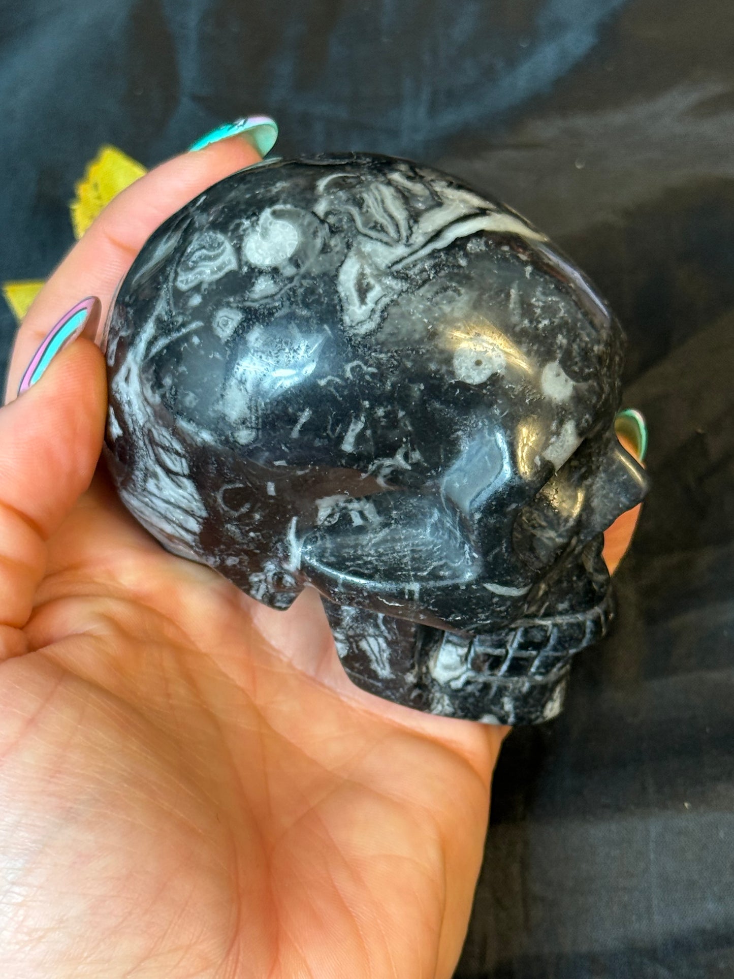 Black Shell Stone Skull