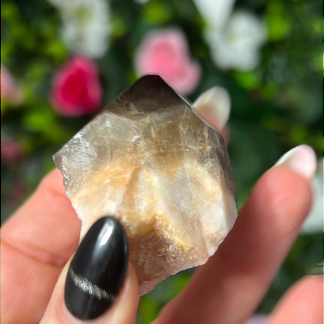 Root of Transformation