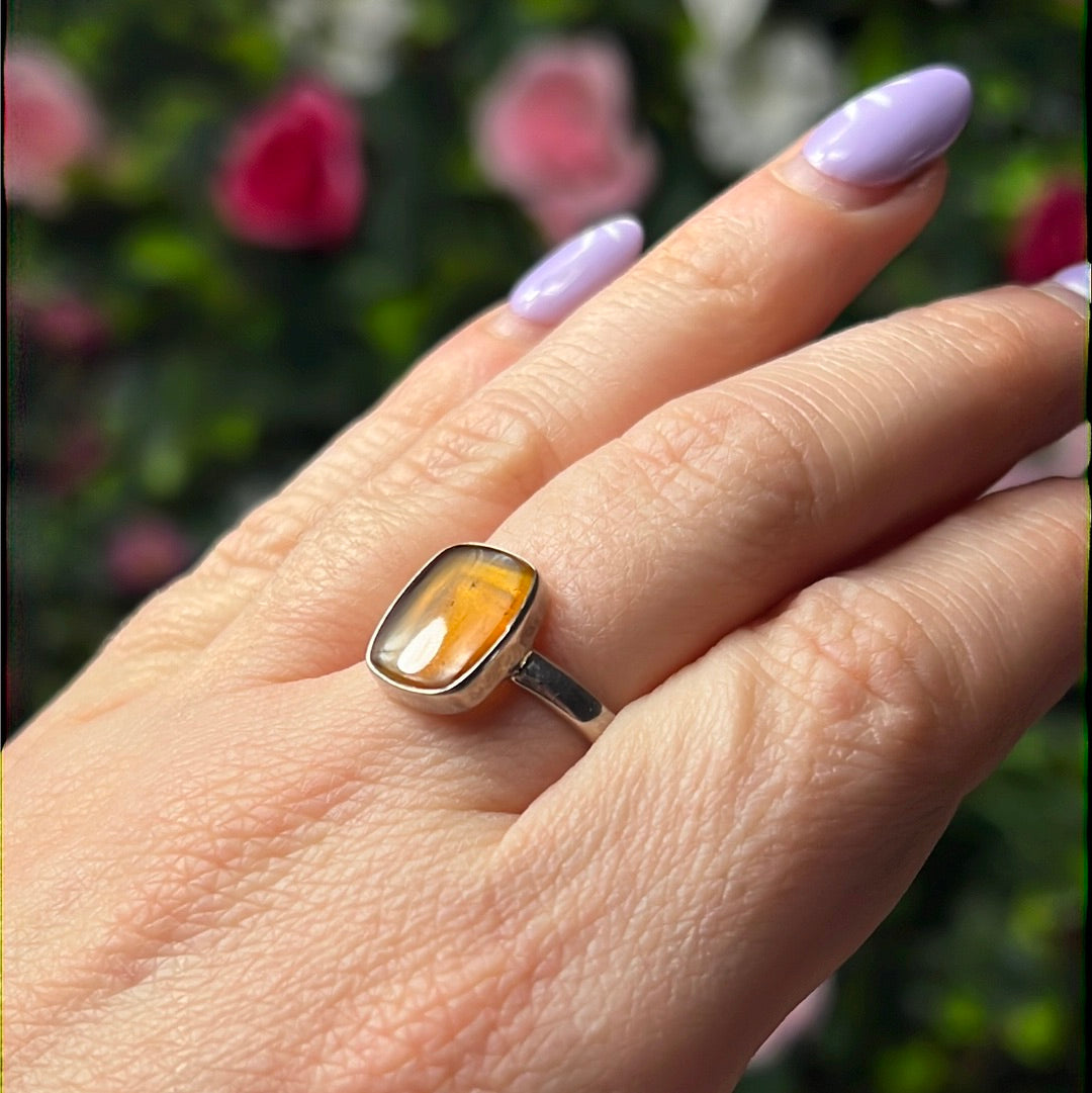 Amber 925 Sterling Silver Ring -  Size S