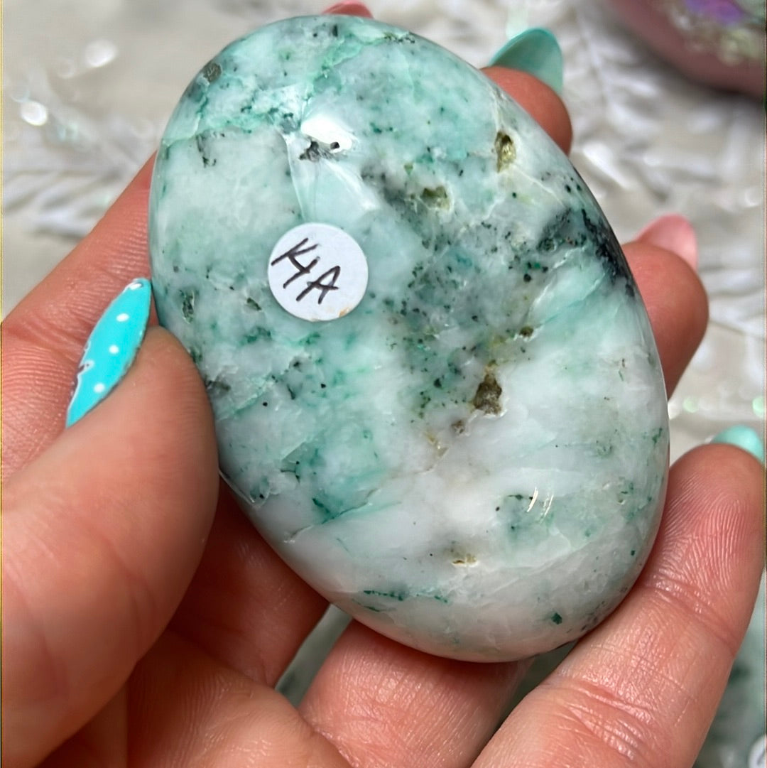 Phoenix Pine Fynechenite Palm