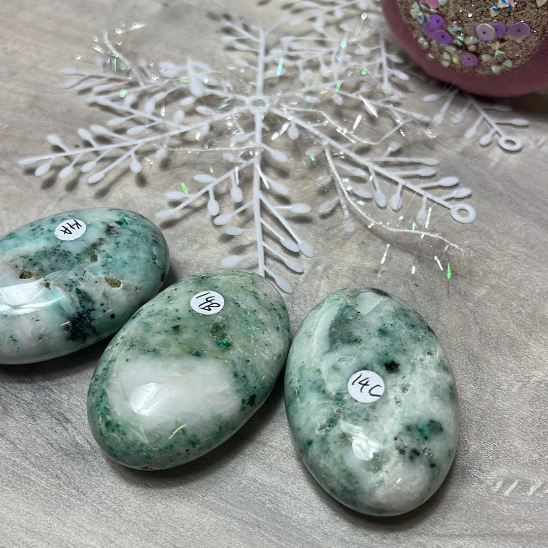 Phoenix Pine Fynechenite Palm