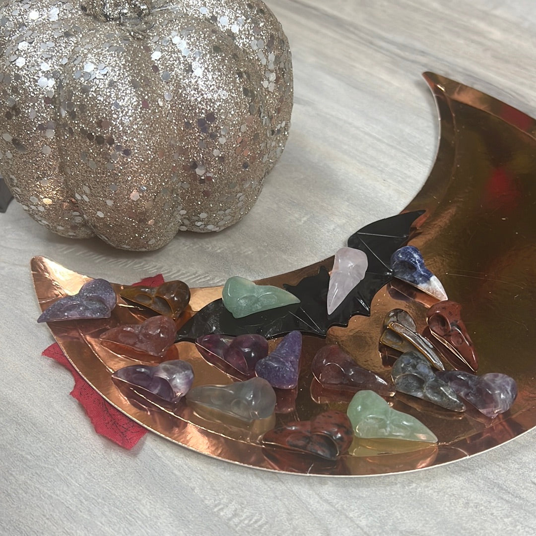 Mystery Baby Skull - Bird Crow Raven