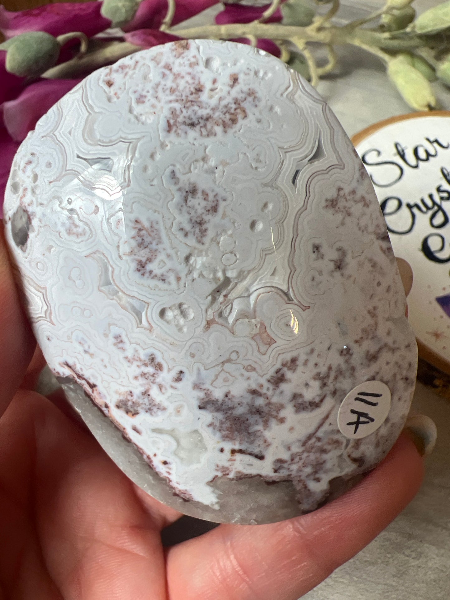 Mexican Crazy Agate Palm